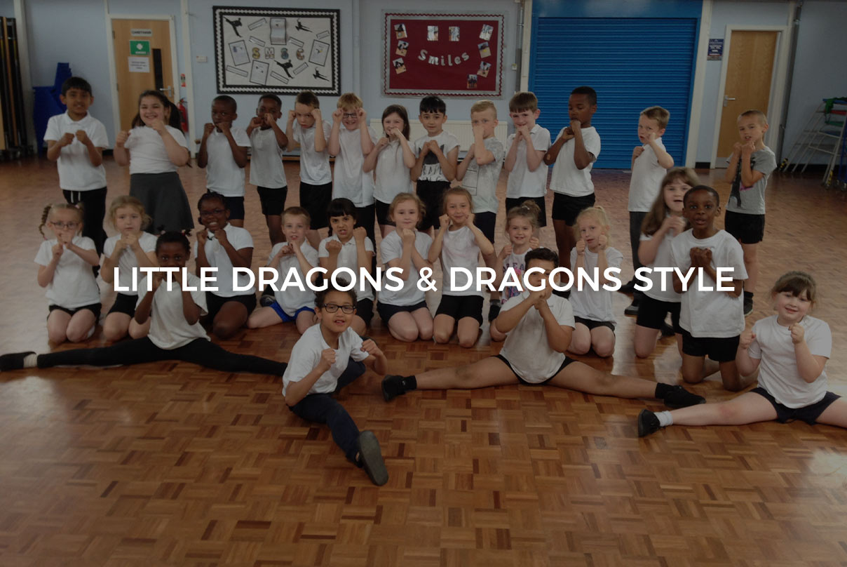 The-Education-Programme-Little-Dragons-Dragons-Style-